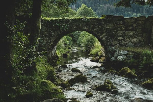 A stone bridge over a stream in a forest